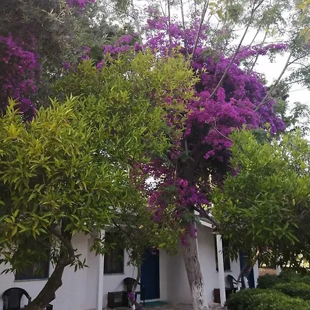 Myndos 호텔 Bodrum