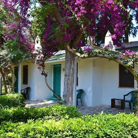 Myndos 3* Αλικαρνασσός