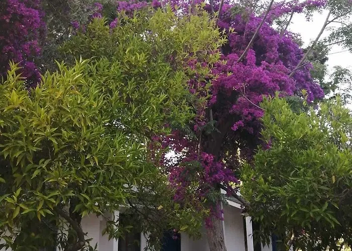 Myndos Hotel Bodrum